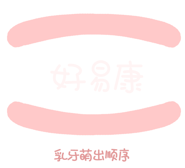尚佳專業(yè)月嫂丨關(guān)于寶寶長(zhǎng)牙問題，都在這里！